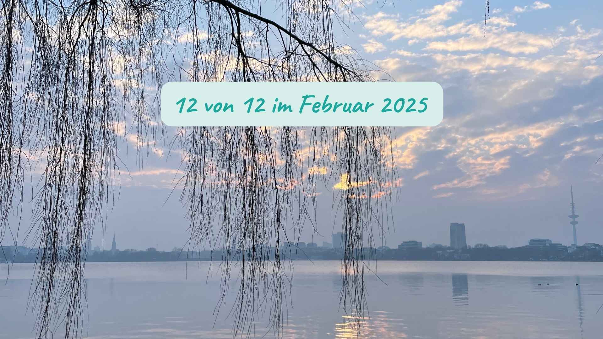 Du betrachtest gerade 12 von 12 im Februar 2025