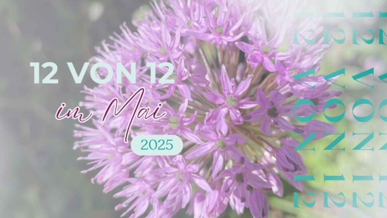 Mehr über den Artikel erfahren 12 von 12 im Mai 2025